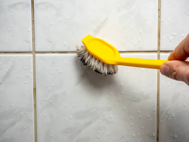 Best Preventive Mold Services in Mesquite, TX