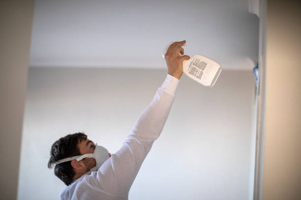 Best Post-Flood Mold Remediation in Mesquite, TX