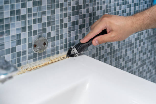 Best Black Mold Remediation in Mesquite, TX